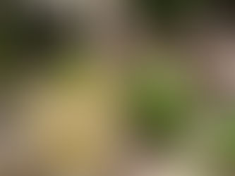 休憩時間のお楽しみ