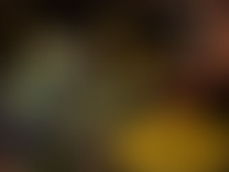 送料改定のお知らせ