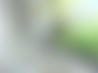 小さなベランダの箱庭