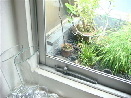 小さなベランダの箱庭