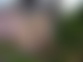 ピンクの床屋さん