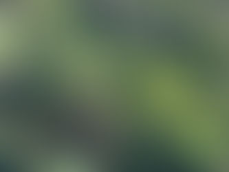 夏季休業のお知らせ