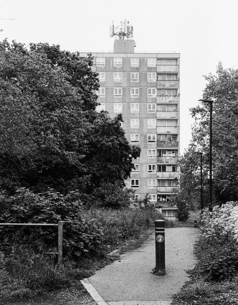 Black and white view along a path with a cycle bollard leading to a residential tower block framed by trees.