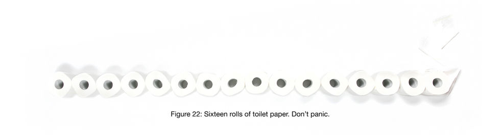 sixteen rolls of toilet paper are lined up in a row