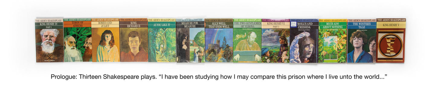 Row of thirteen Arden Shakespeare play covers arranged in a line on a white background.