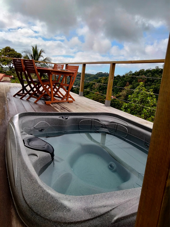 terasse spa 1_edited.png