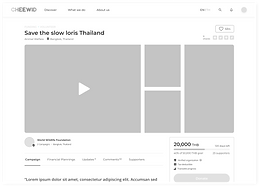 Wireframes3.png