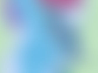 There & Back Again—A Finnish Soldier's War