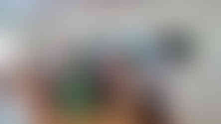 II PUC Toppers 2026 Vidyodaya