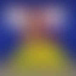 Vidyodaya Public School