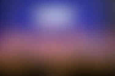 Vidyodaya Public School Annual Day Celebrations 2025