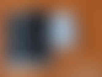 Vidyodaya Public School Results