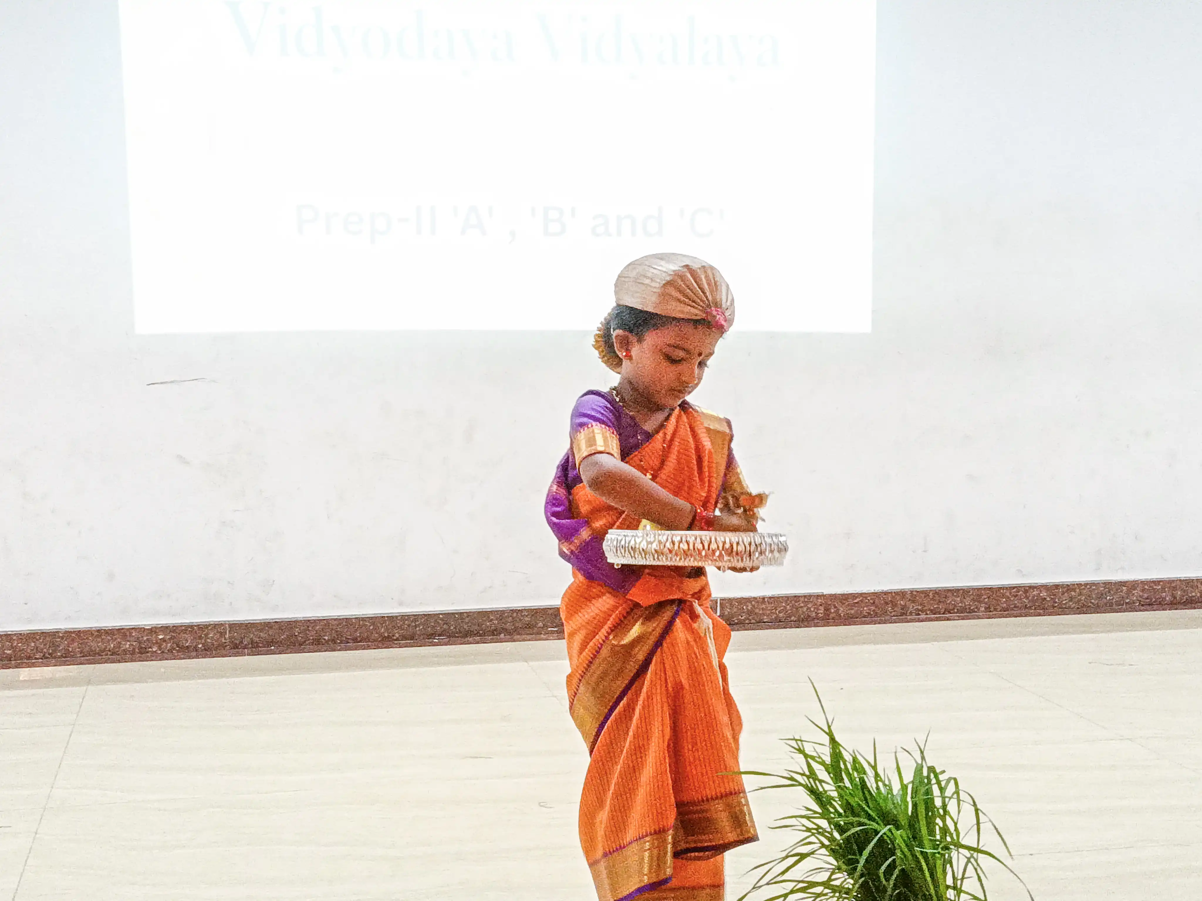 Vidyodaya Public School conducts Fancy Dress Competition for Prep II students
