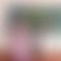 Vidyodaya Public School