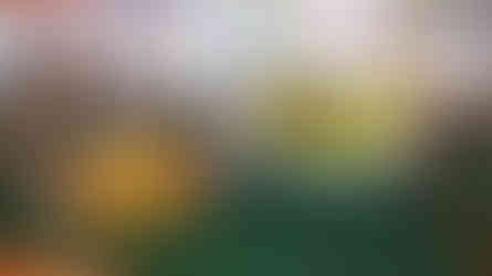 Salad Dressing Competition 2025 Vidyodaya PU College Udupi