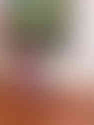 Vidyodaya Public School