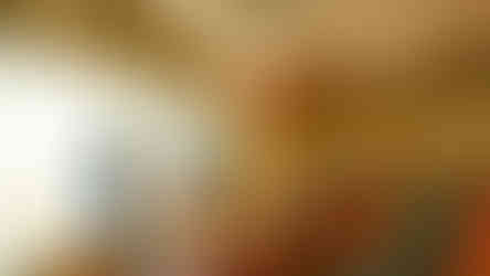 Vidyodaya Public School Bharath Scouts and Guides Rajya Puraskar