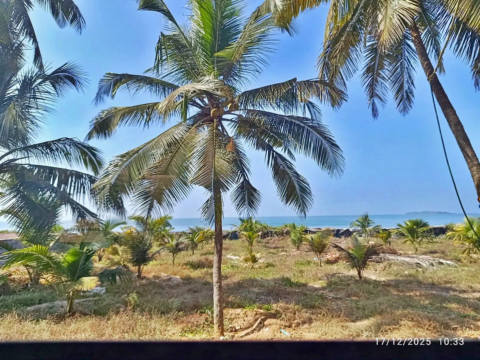 Pre-primary students enjoying Jolly Drive at Vidyodaya Public School