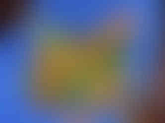 Vidyodaya Public School