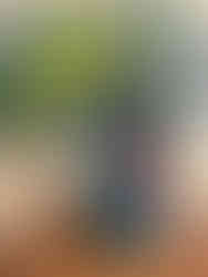 Vidyodaya Public School Results