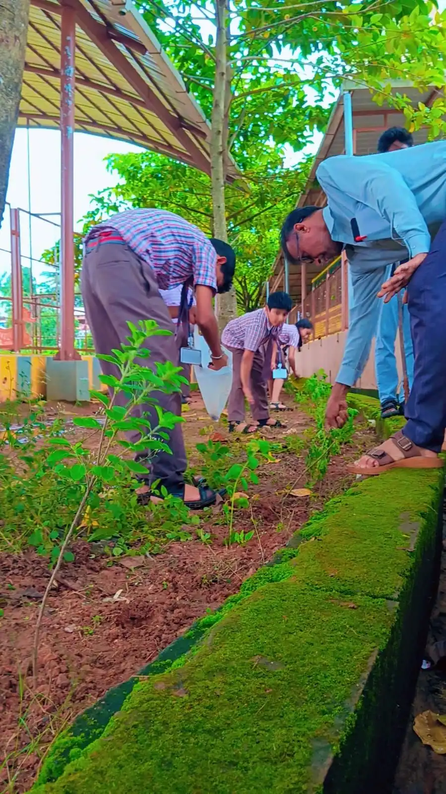 Vana Mahotsav Celebration 2026 at Vidyodaya Public School
