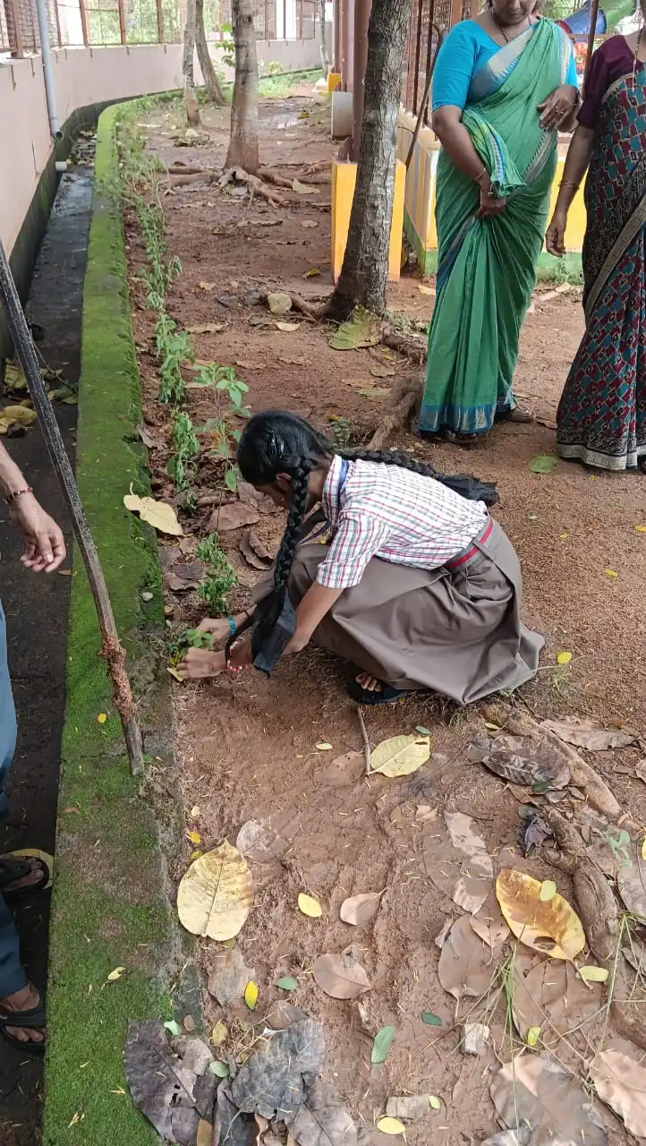 Vana Mahotsav Celebration 2026 at Vidyodaya Public School