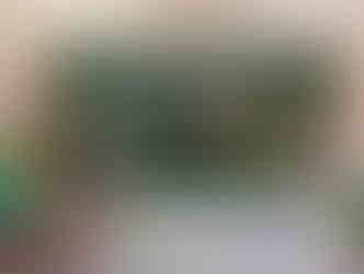 Vidyodaya Public School