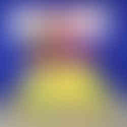 Vidyodaya Public School