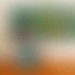 Vidyodaya Public School