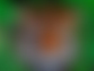 Jedes Bild hat seine eigene Ausstrahlung und seinen eigenen Charme.