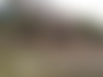 Село Григорьевка Запорожской области и его жители оказалось почти на линии фронта