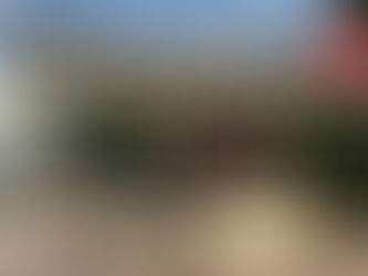 Российские оккупанты собрались создавать в Мелитопольском районе колхозы