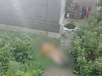 In the morning rashists shelled the Kherson region, a woman died