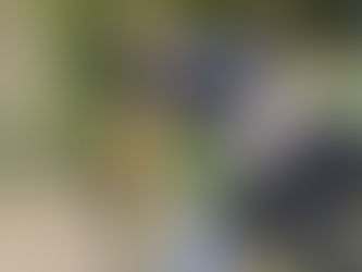 Killed and four wounded as a result of regular enemy attacks in the Kupyansk district