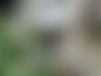 Жилые дома, завод, база спасателей: РФ уничтожает «военные объекты» Луганщины