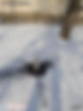 In Kupiansk, Russians Injured a Woman and Attacked an Ambulance