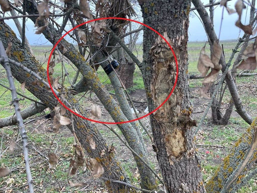 Такие "сюрпризы" оставили оккупанты на Николаевщине и Херсонщине. Есть погибшие