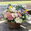Thumbnail: Easter Basket Premade Bouquet 