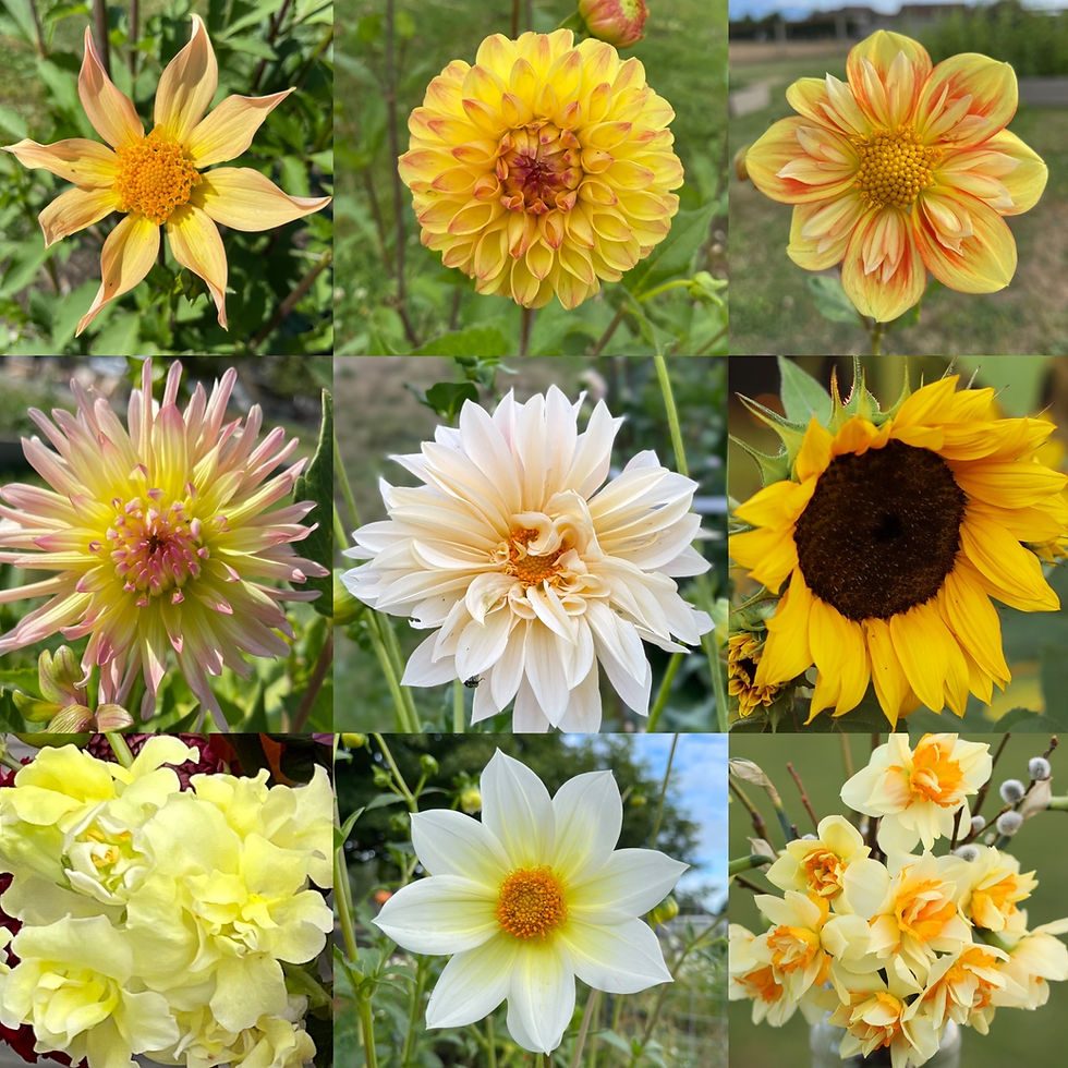 Thumbnail: Bucket O' Blooms