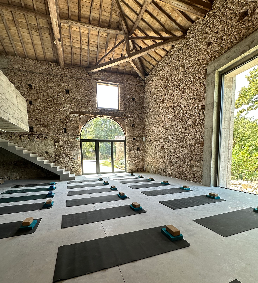 France Yoga Retreat Set Up