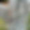 Thumbnail: Francis Xavier - Halloween Tombstone
