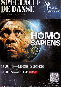 Affiche gala 2026.jpeg