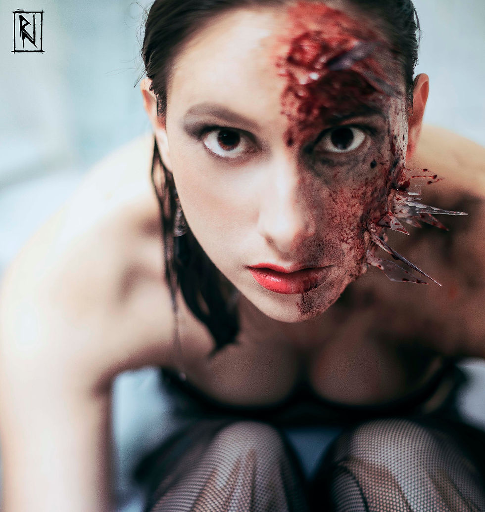 Shattered Vision