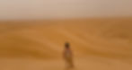 Oasis de Siwa