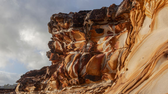 Bouddi putty beach-052.jpg
