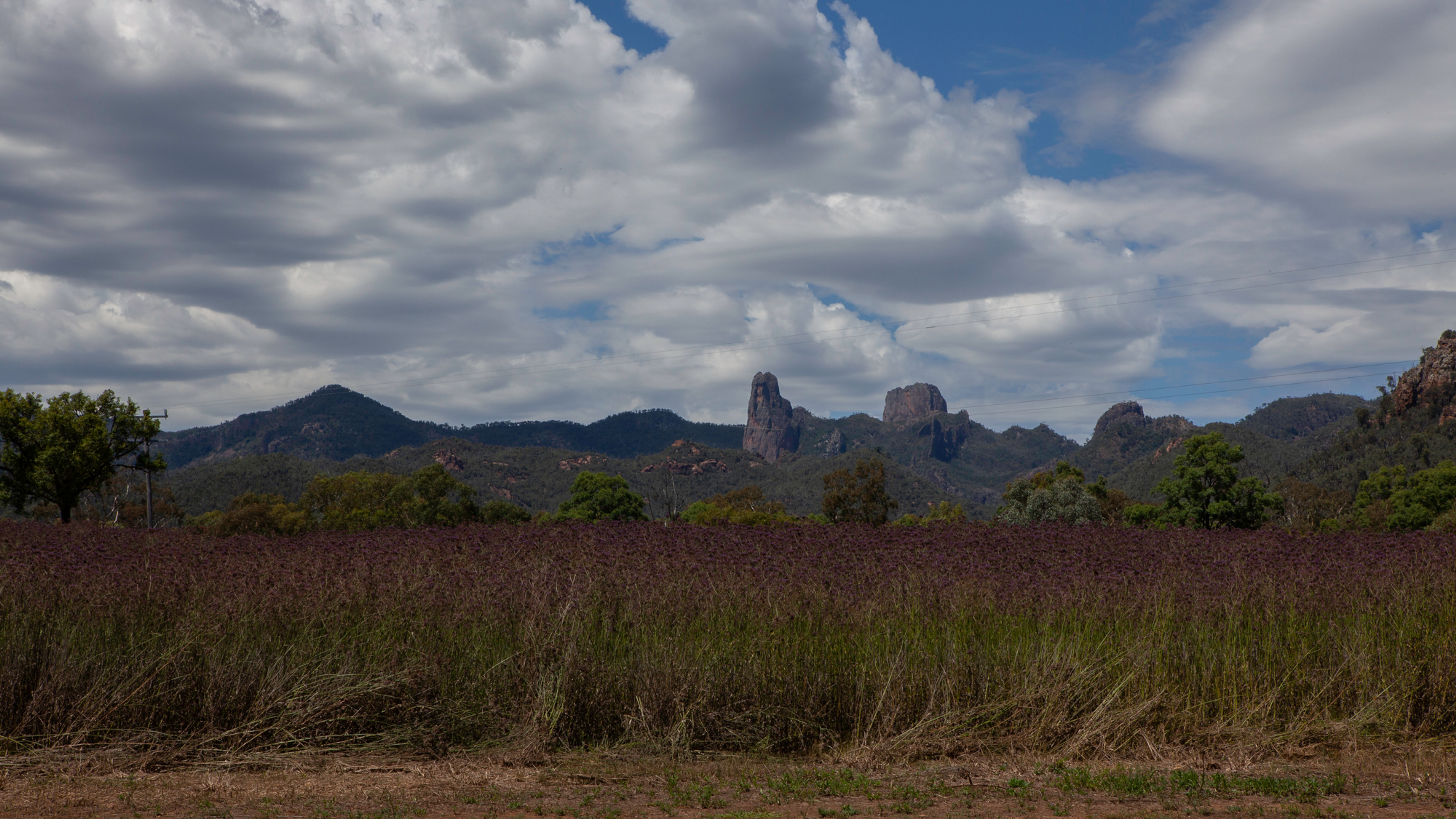 Warrumbungles  -  Kamilaroi, Weilwan and Wiradjuri  Country