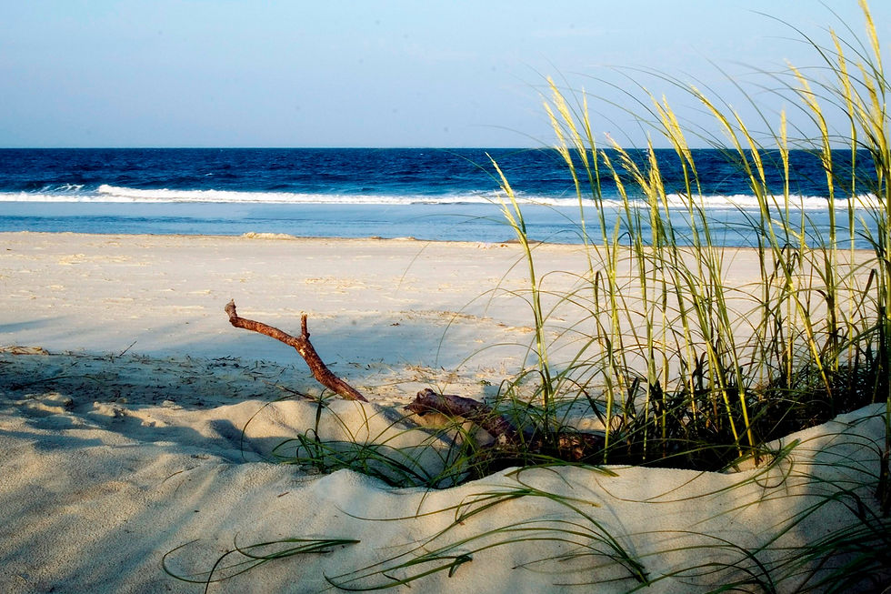 tybee beach