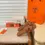 Miniaturbild: 2023320