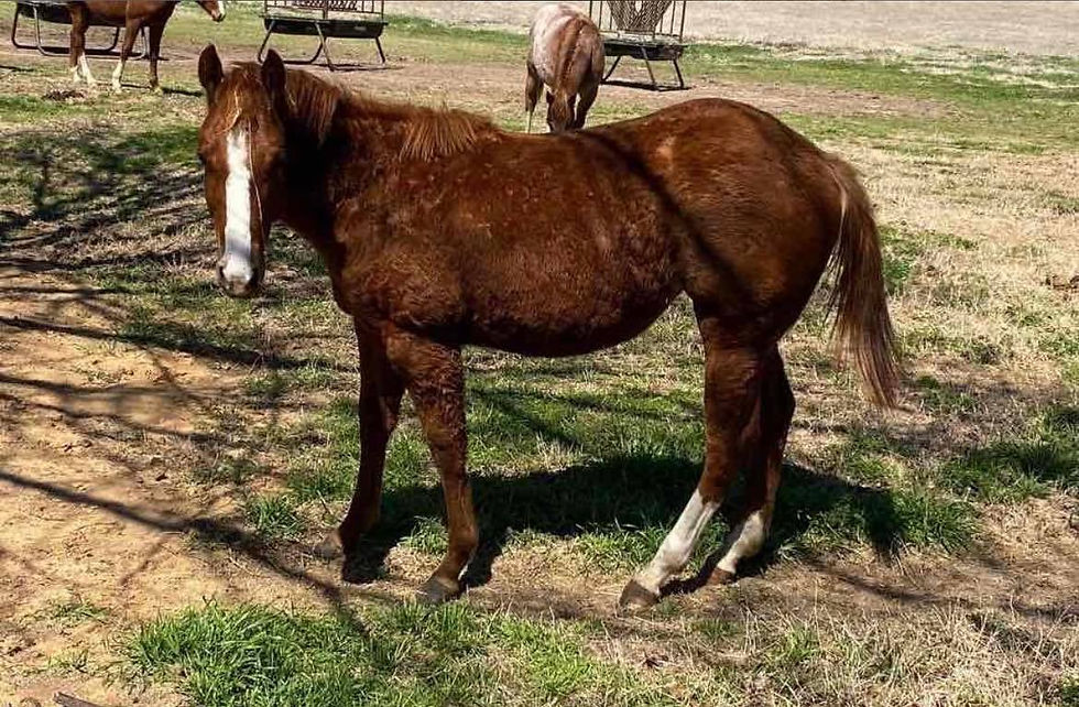 Thumbnail: Meet Sf Mayday Im Hot!!!