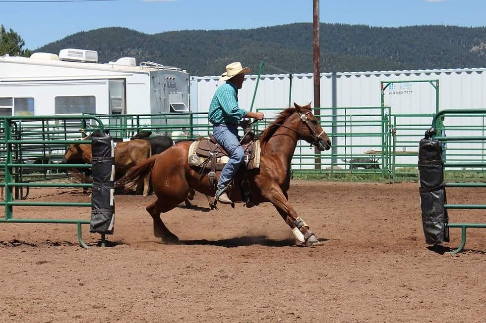 Thumbnail: Cowhorse/Barrel Horse!!!!